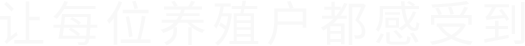 兰科博弈(RankBet)有限公司官网