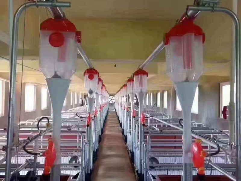 蛋鸡豢养设备厂家分析蛋鸡饮水当苦衷项