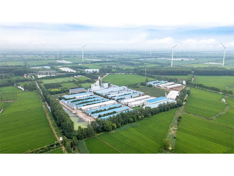 2023年中央一号文件出炉，畜禽产业应抓住哪些新机缘？