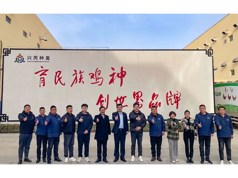 参观进建推进取 互换合作赢发展︱兰科博弈RankBet牧业赴兴芮种禽、峪口禽业与瑞普生物参观访学