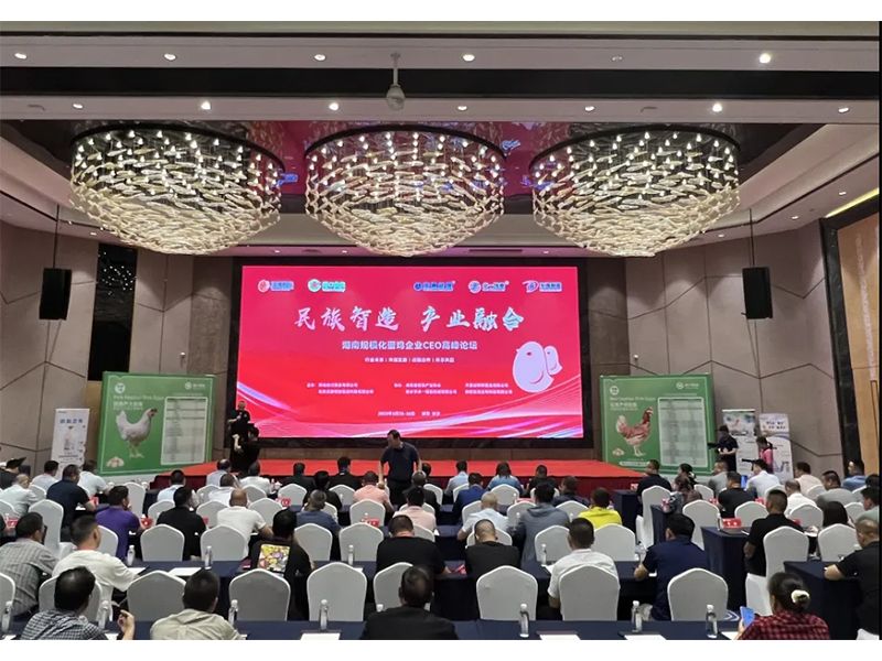 热烈祝贺湖南规；凹ζ笠礐EO顶峰论坛获得圆满成功！