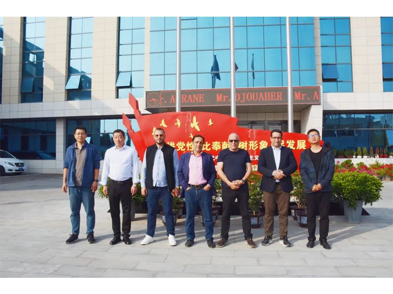 合作共赢 | 阿尔及利亚调查团远赴我司参观调查