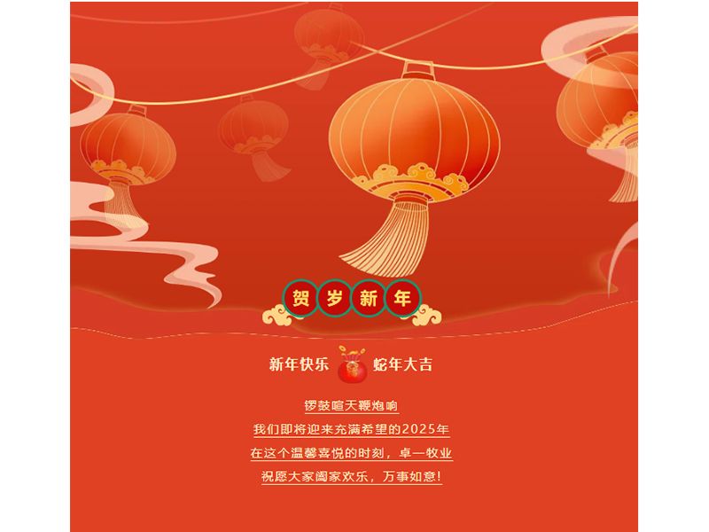 金蛇迎春 贺岁新年