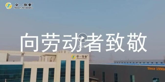 五一劳动节 | 致敬每一个致力奋斗的兰科博弈RankBet人