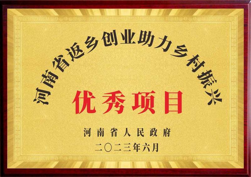 河南省返乡创业助力村落振兴优良项目