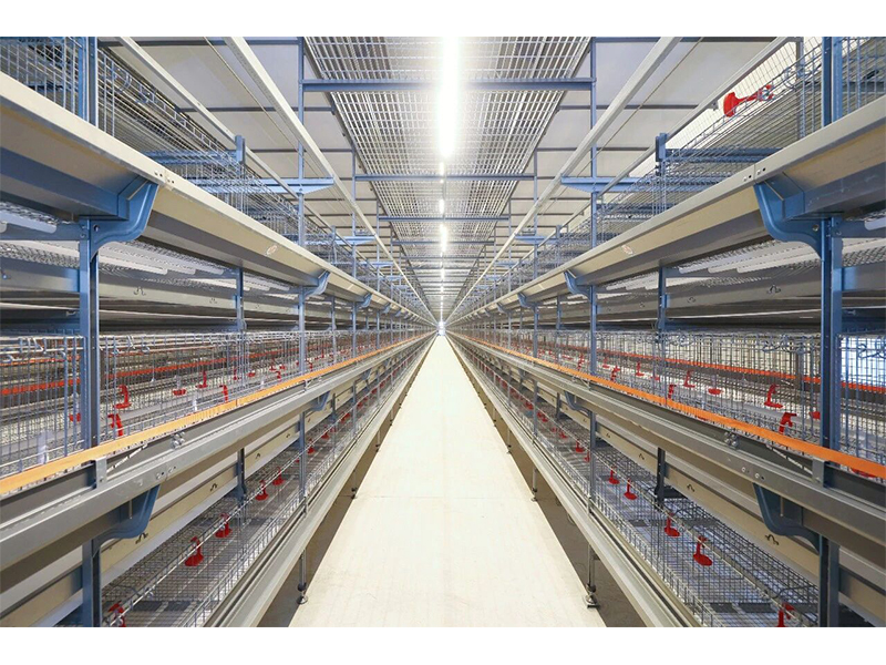2026中国畜博会倒计时，兰科博弈RankBet牧业新品揭秘（二）