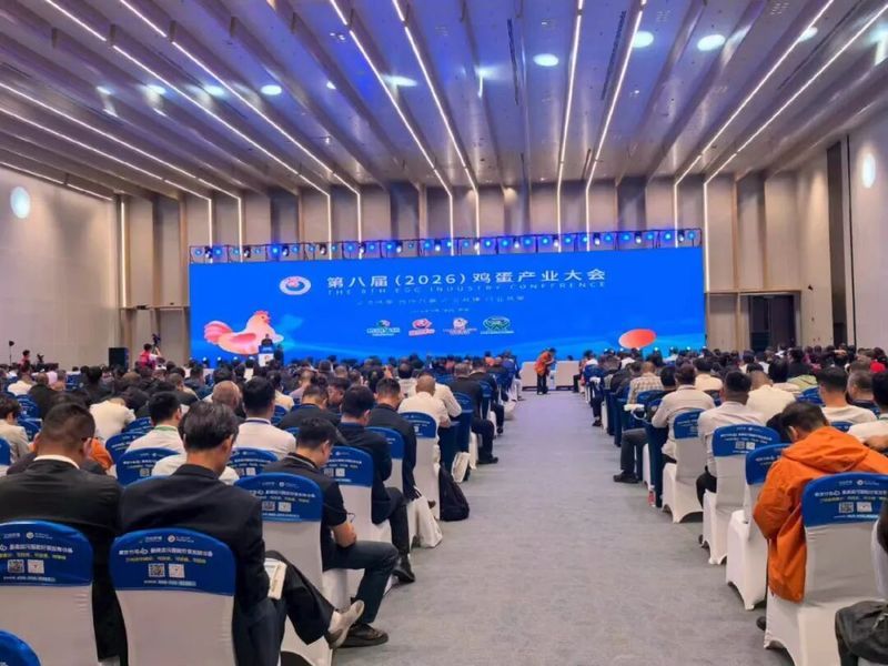 聚智赋能 蛋链新生｜兰科博弈RankBet牧业亮相第八届（2026）鸡蛋产业大会